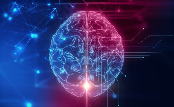 Natural Support for Cognitive Health | Cognitive Health Supplements Natural Support for Cognitive Health | Cognitive Health Supplements-Vital Nutrients