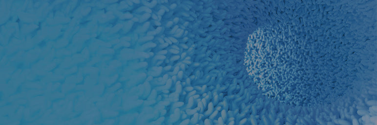 Meet Akkermansia: The Gut Microbe Supporting GLP-1 and Digestive Health* Meet Akkermansia: The Gut Microbe Supporting GLP-1 and Digestive Health*