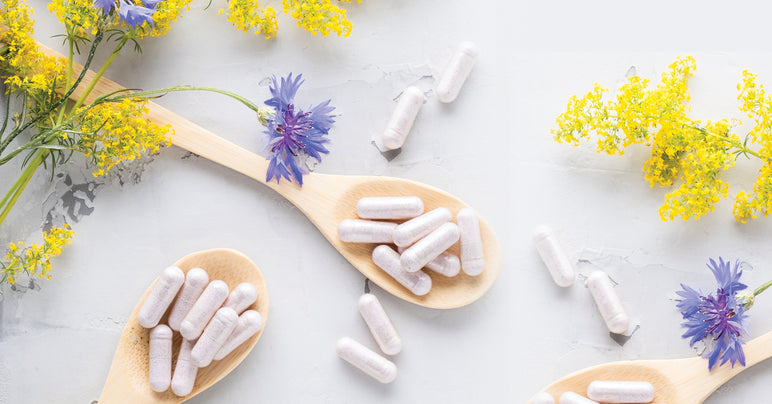 How To Support Your Immune System With Botanicals How To Support Your Immune System With Botanicals-Vital Nutrients