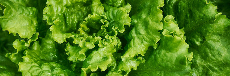 The B-Vitamin Complex: Breaking Down Their Health Benefits The B-Vitamin Complex: Breaking Down Their Health Benefits