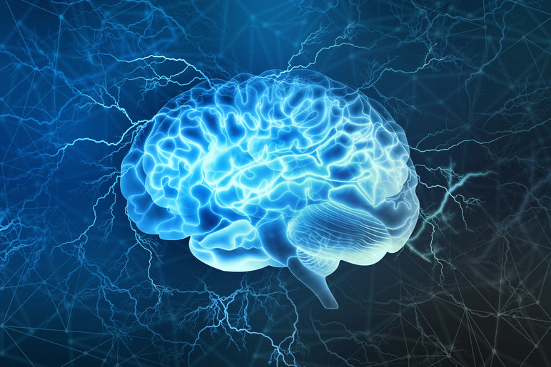Best Nootropics Supplements for Cognitive Performance Best Nootropics Supplements for Cognitive Performance