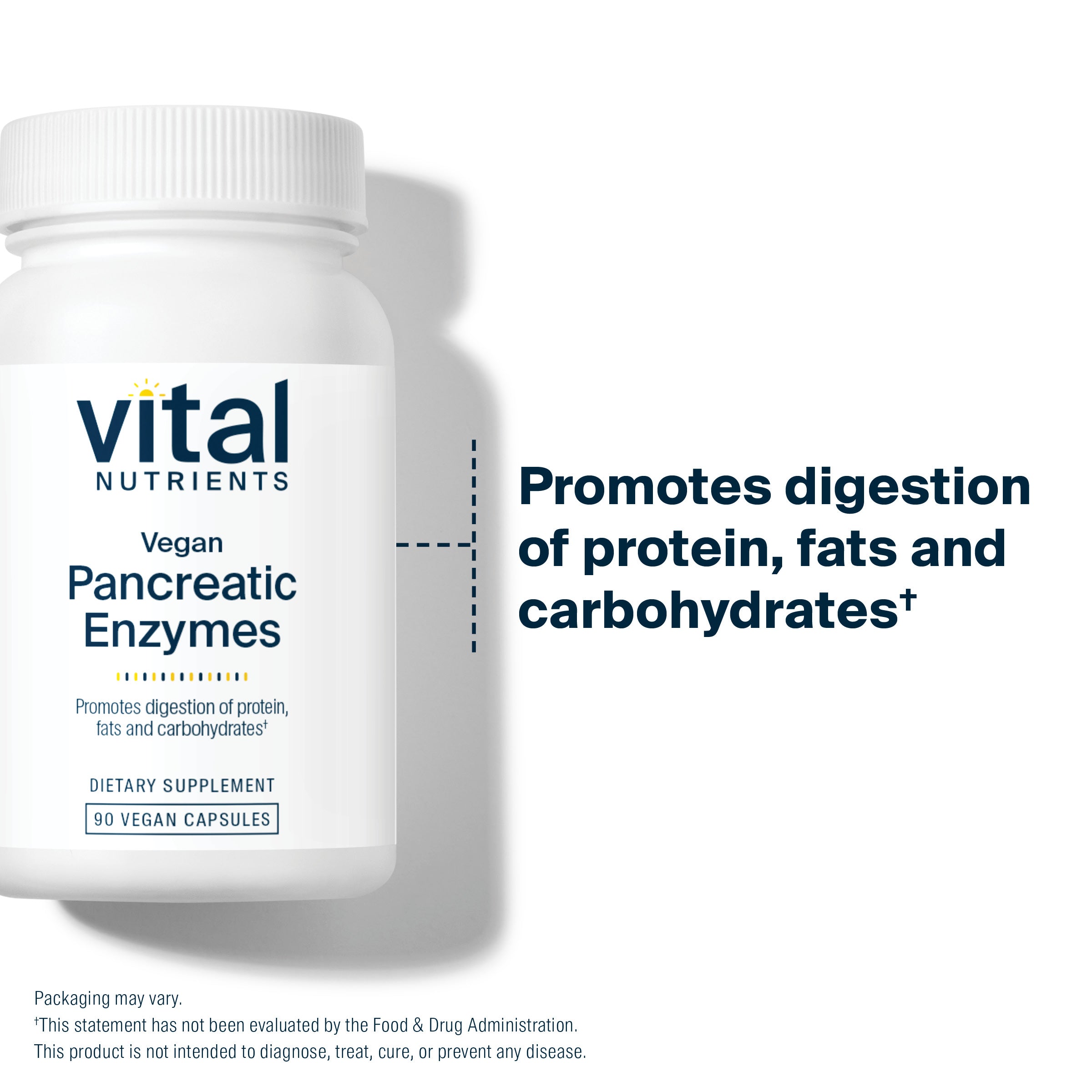 Vital Nutrients Vegan Pancreatic Enzymes promote the digestion of protein, fats and carbohydrates.*