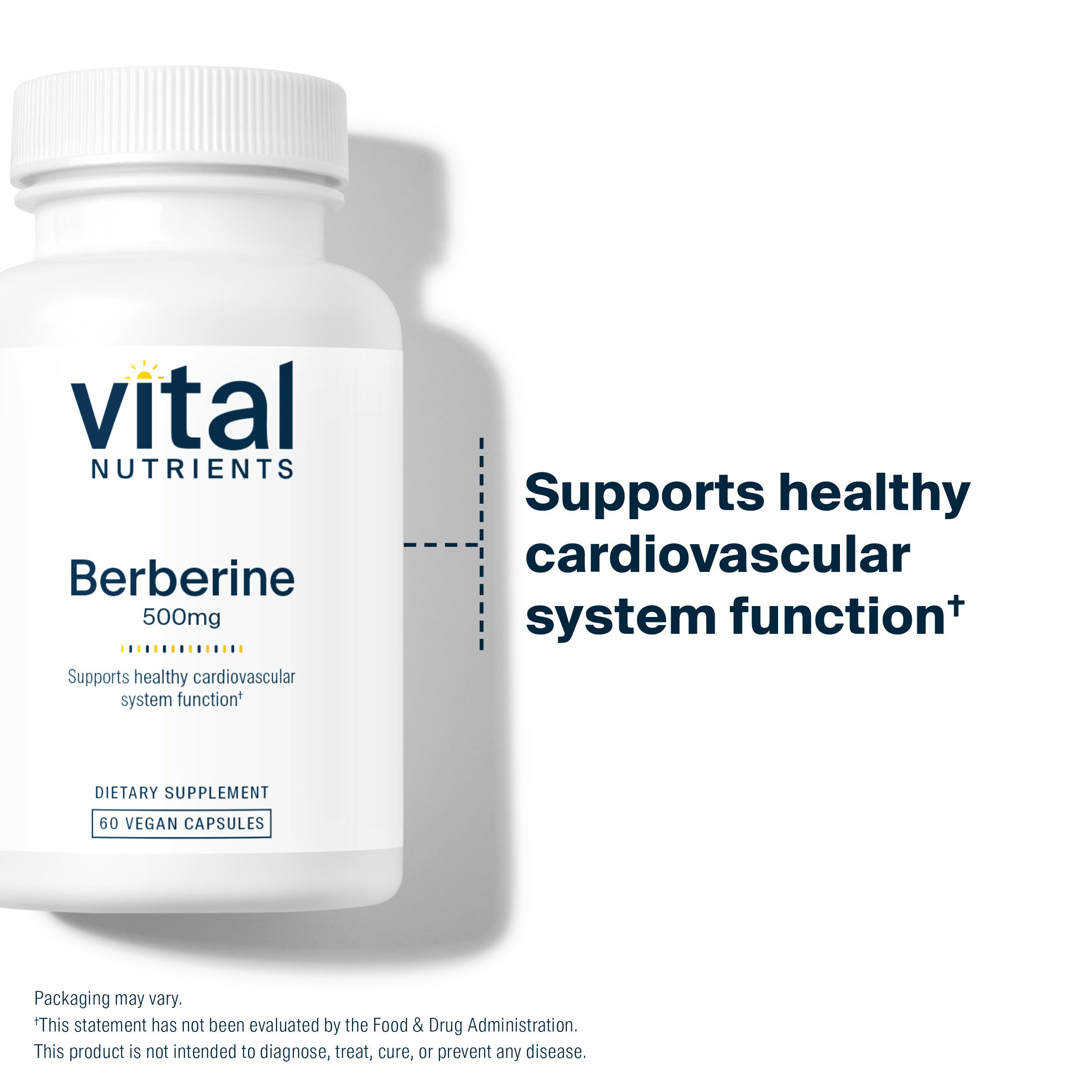 Vital Nutrients Berberine 500mg supports healthy cardiovascular system function.*