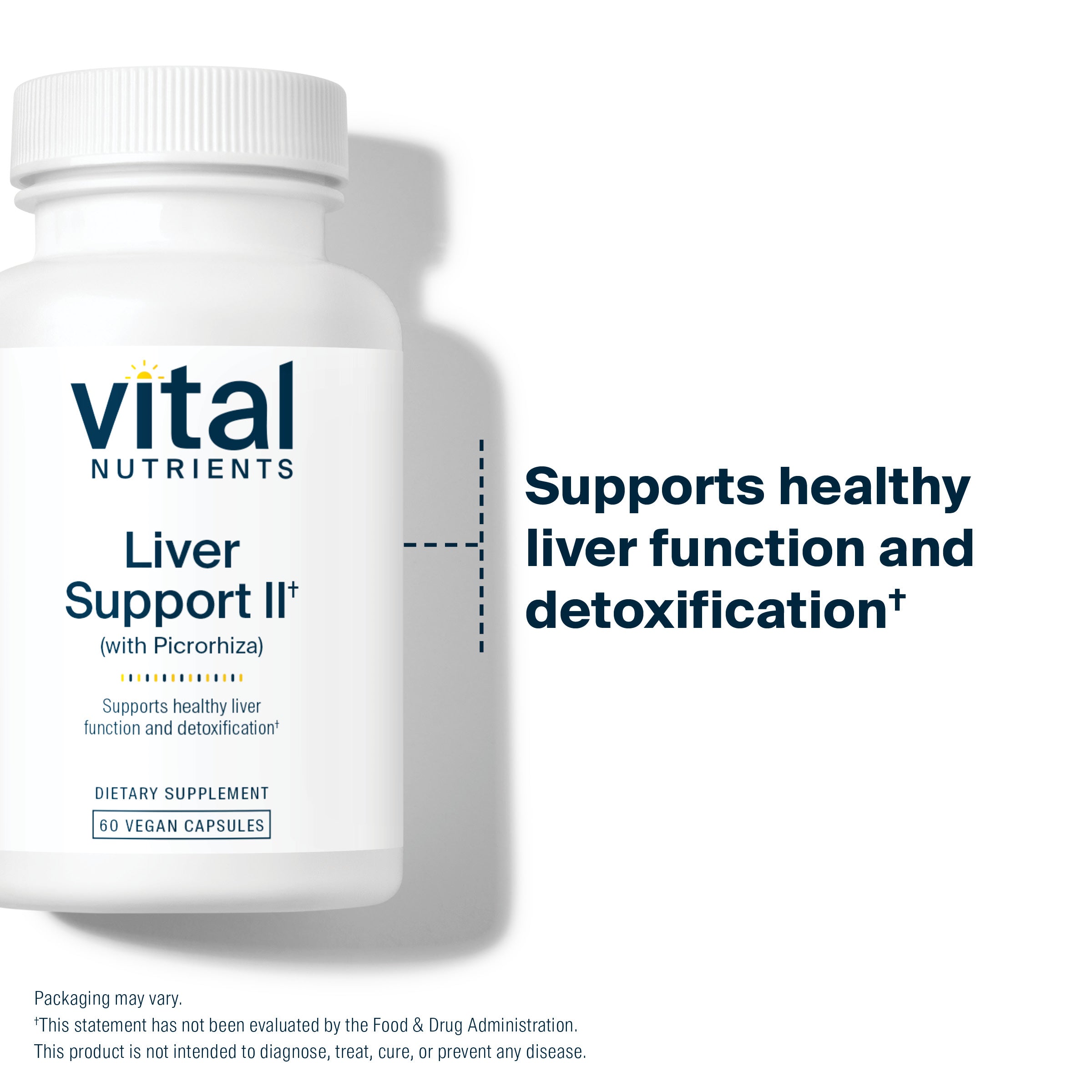 Vital Nutrients Liver Support II supports healthy liver function and detoxification.*