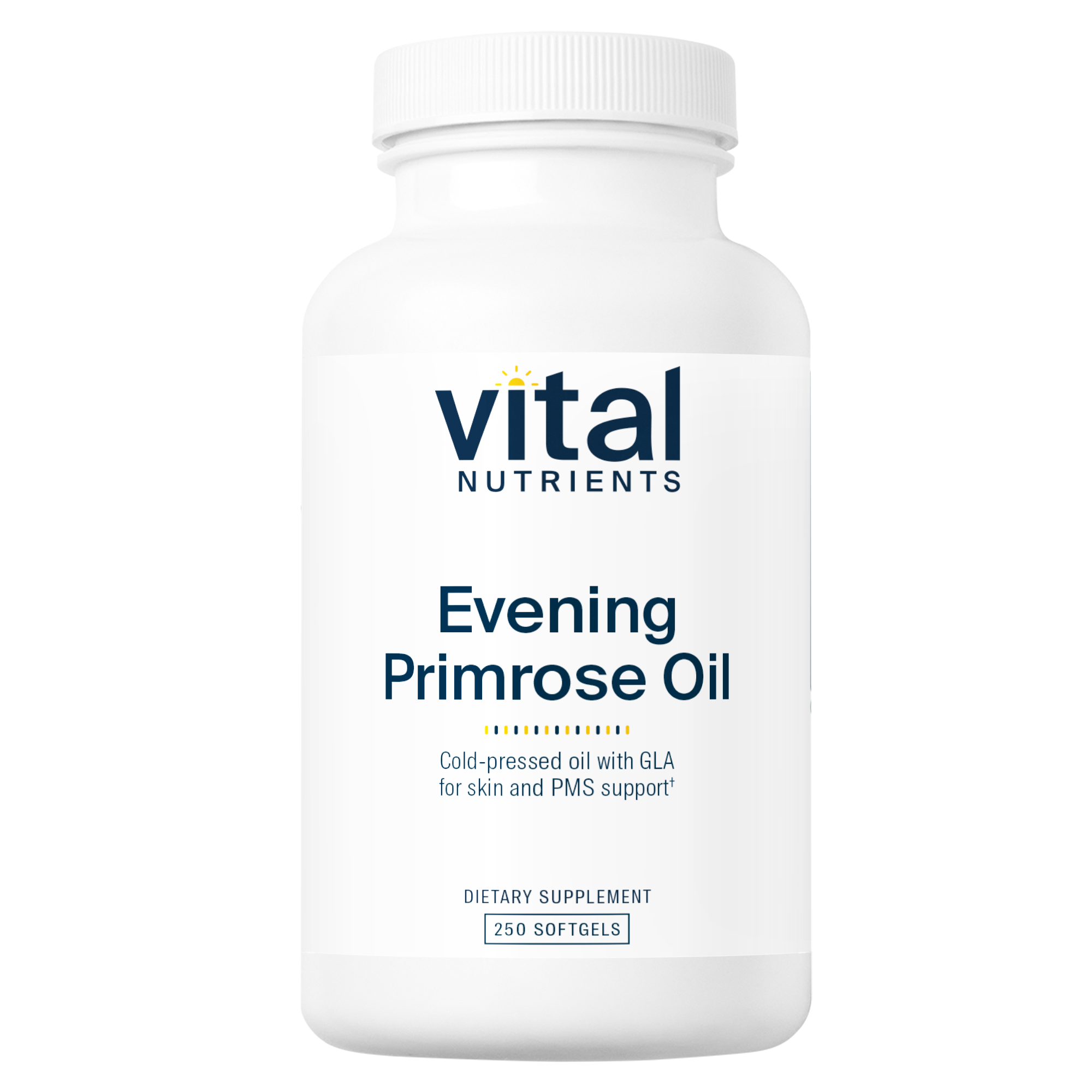 Evening Primrose