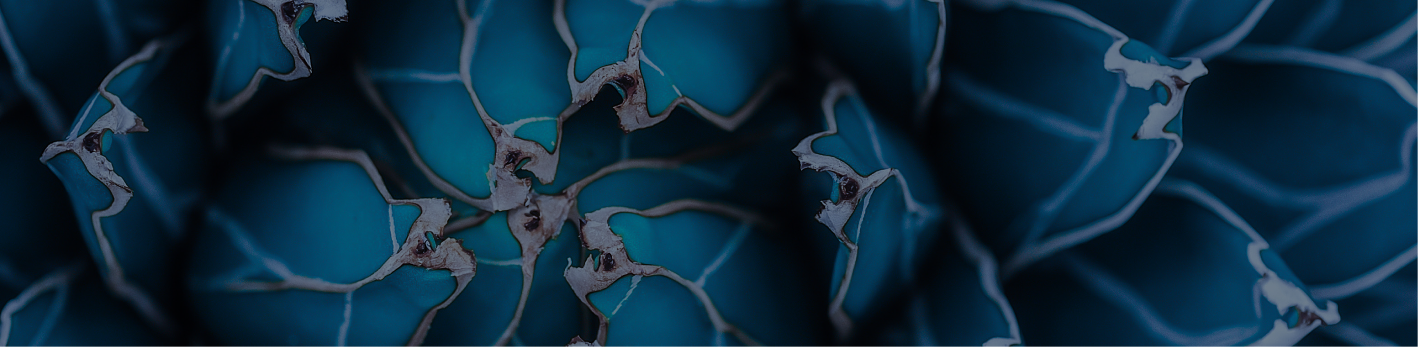 Triple Magnesium Complex