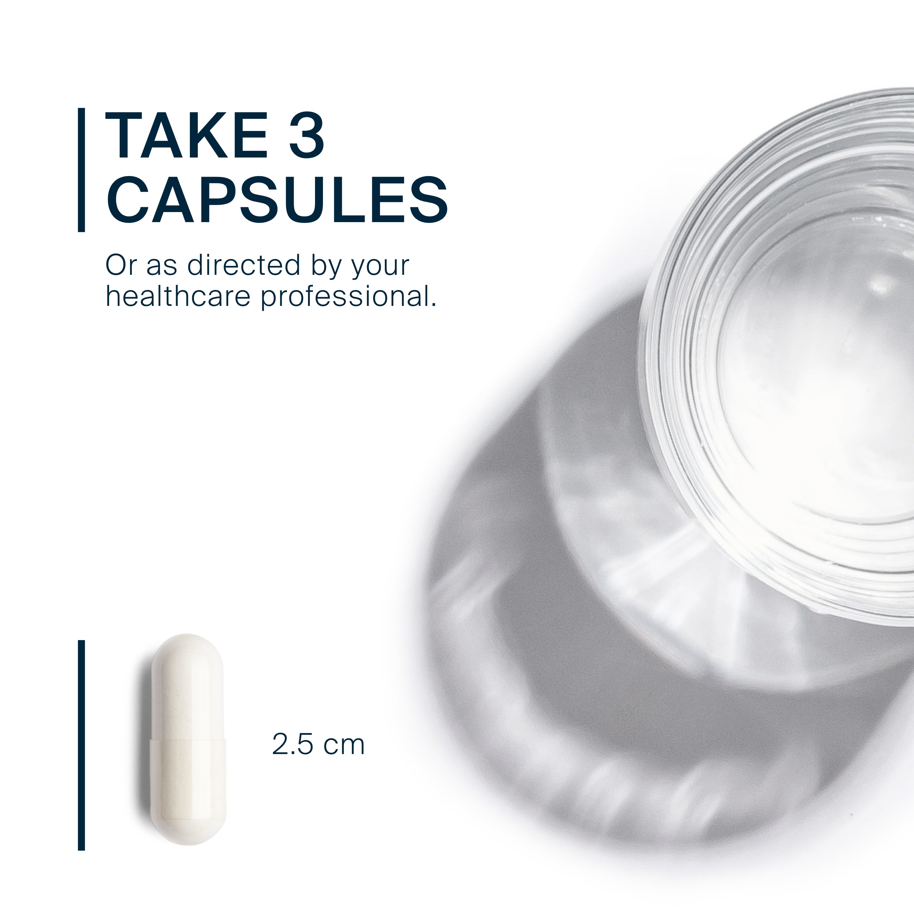 Acetyl L-Carnitine | Best Acetyl L-Carnitine Supplements Acetyl L-Carnitine | Best Acetyl L-Carnitine Supplements