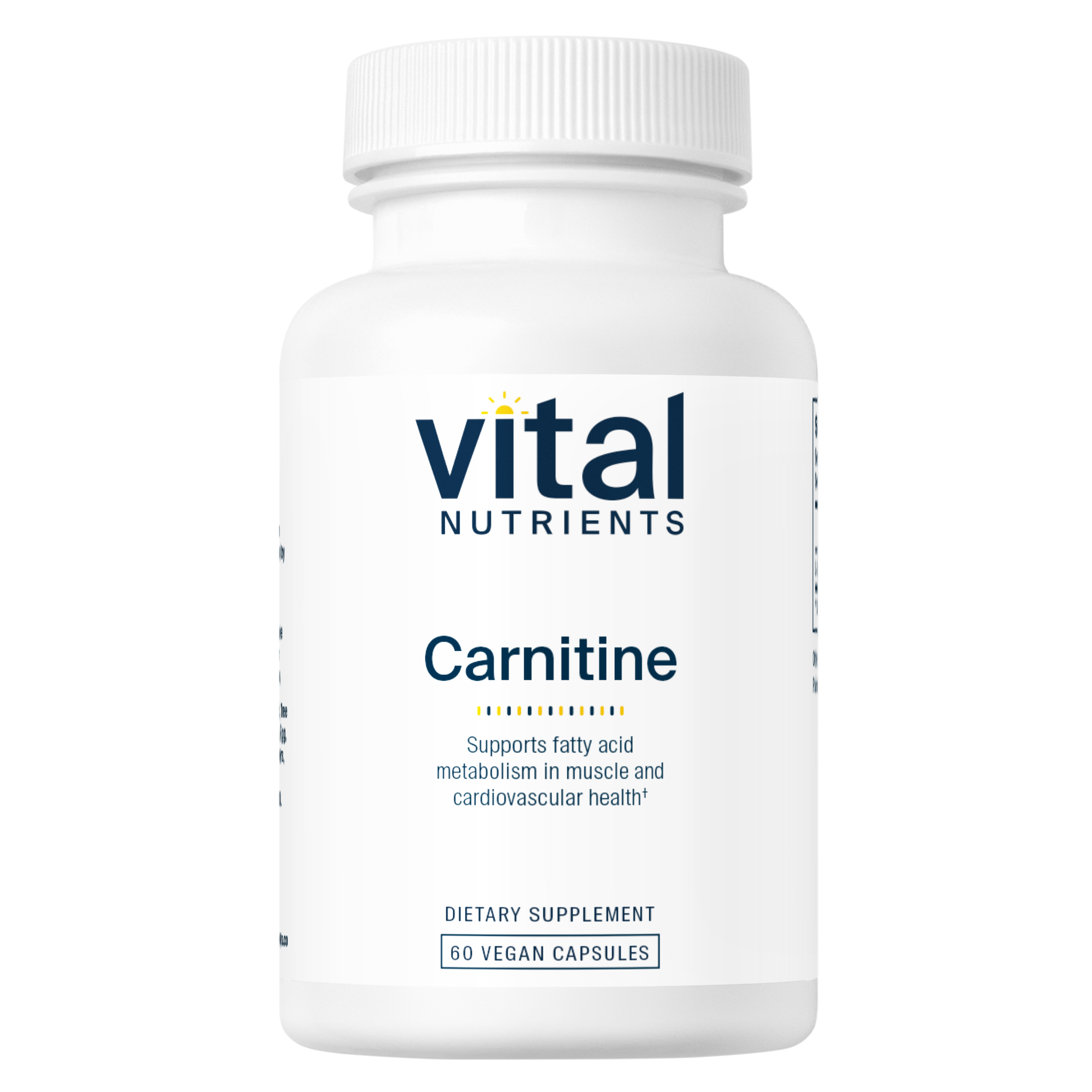 Carnitine 500mg | 60 L-Carnitine Capsules | L-Carnitine Supplement Carnitine 500mg | 60 L-Carnitine Capsules | L-Carnitine Supplement
