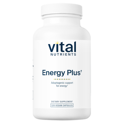 Energy Plus