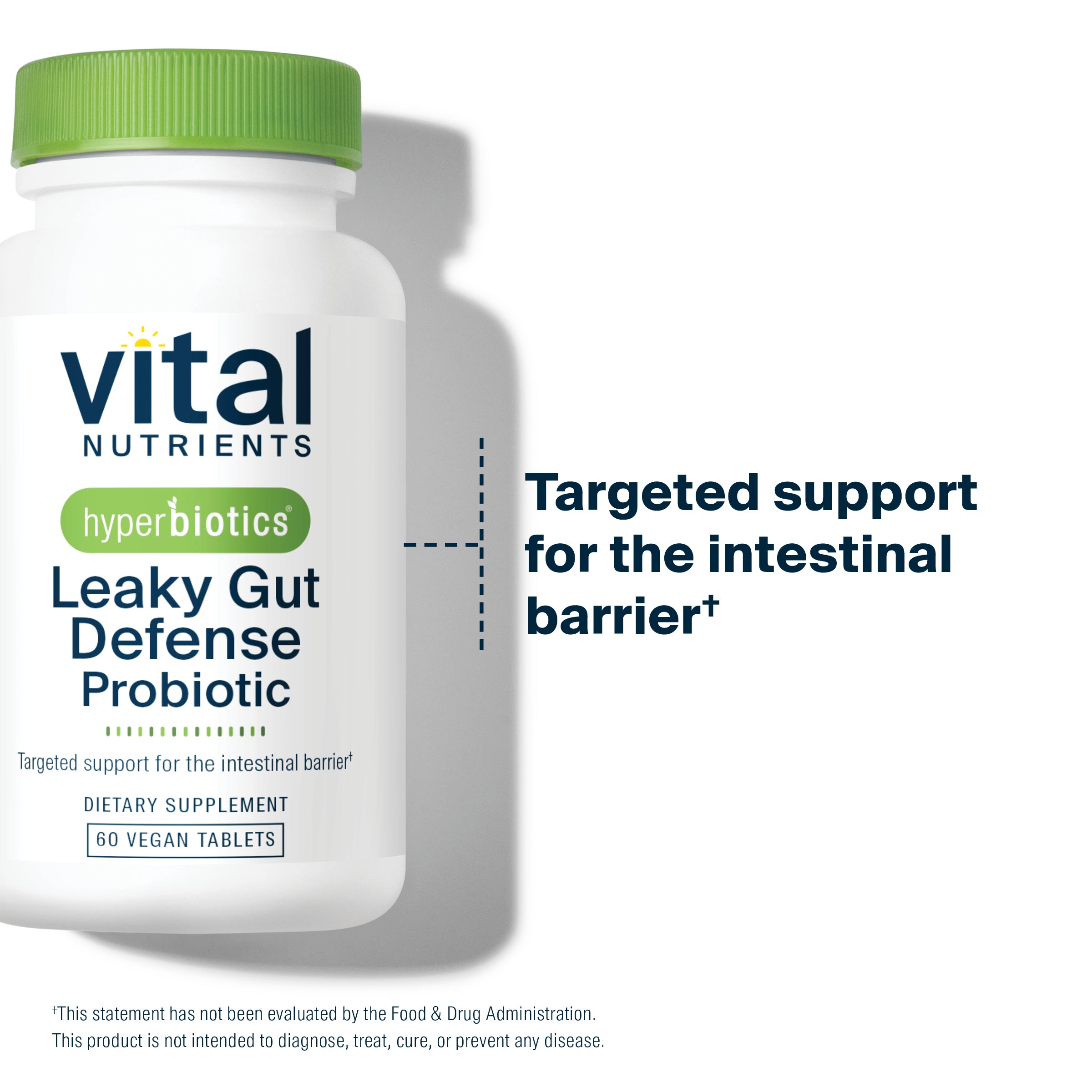 Vitalee Helicobacter Pylori & Leaky Gut Defense – 500mg Herbal Capsules (60ct)