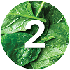 Circular icon with green leaves and the number 2