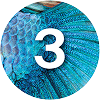 Number '3' on a blue circular background