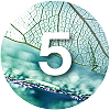 Number 5 with a leafy background