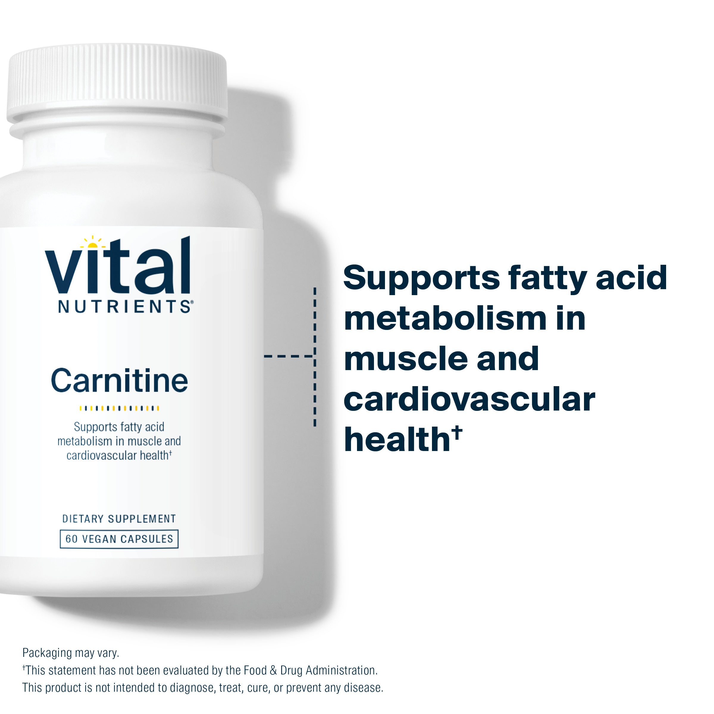 l carnitine tunisie PLATINUM L-CARNITINE – 60 CAPS – Protein Shop Tunisia l carnitine tunisie PLATINUM L-CARNITINE – 60 CAPS – Protein Shop Tunisia