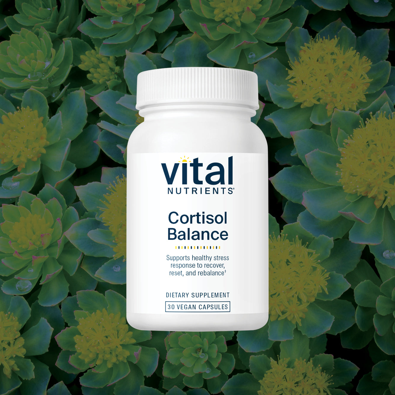 Vital Nutrients Cortisol Balance supplement bottle on a green leafy background